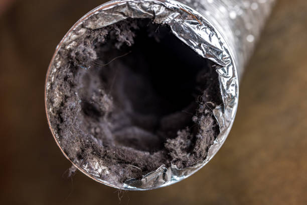 Best Dryer Vent Cleaning Services  in Norton Center, MA
